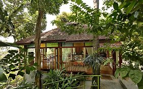 Ambong Rainforest Retreat