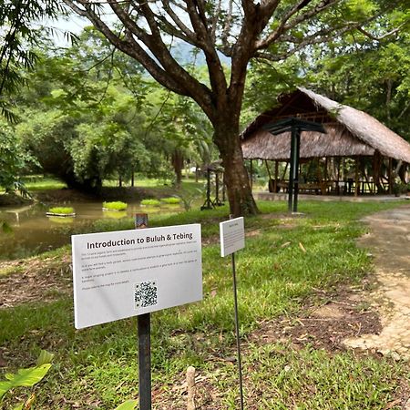 Ambong Rainforest Retreat Pantai Cenang  Exterior photo