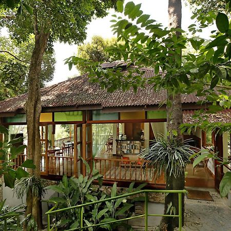 Ambong Rainforest Retreat Pantai Cenang  Exterior photo
