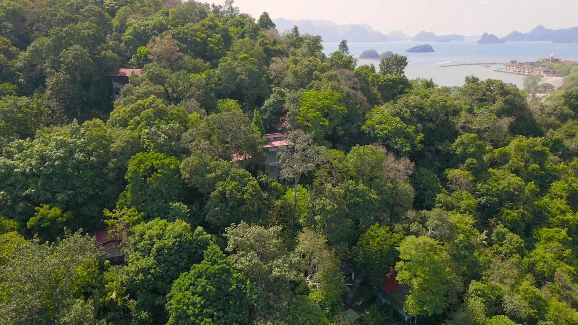 Ambong Rainforest Retreat Pantai Cenang  Exterior photo