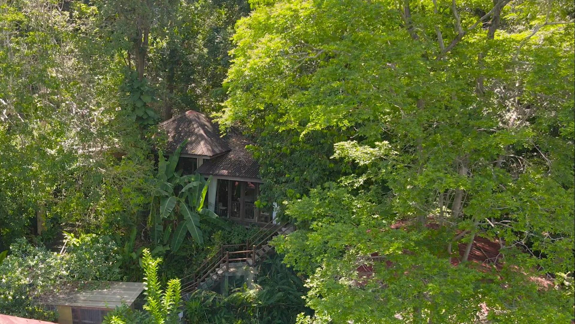 Ambong Rainforest Retreat Pantai Cenang  Exterior photo