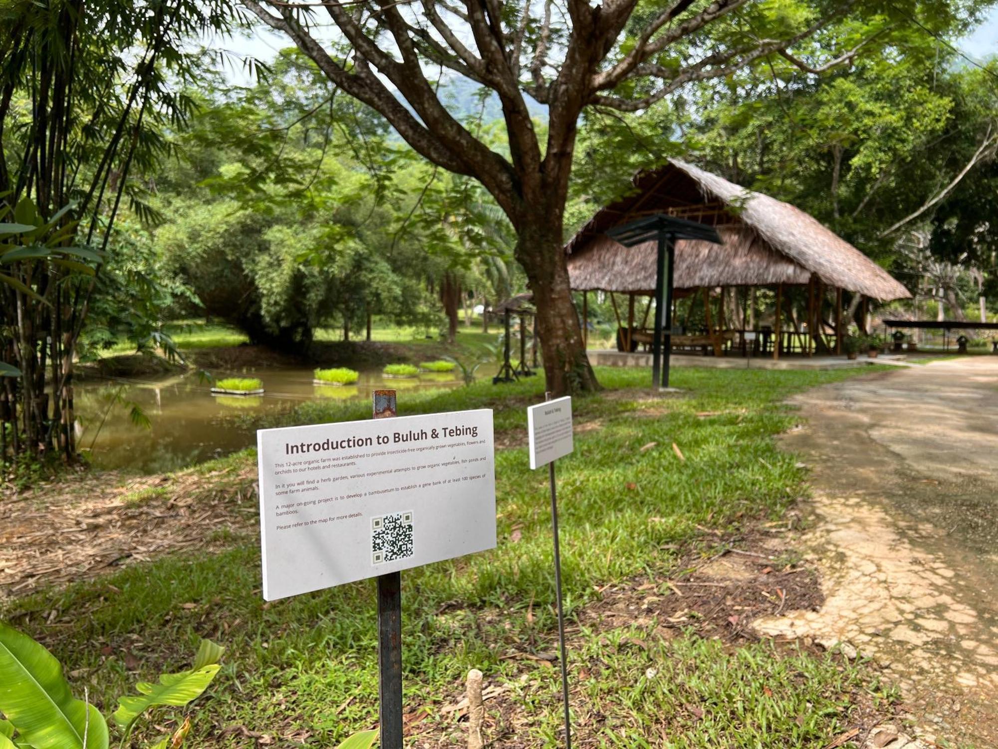 Ambong Rainforest Retreat Pantai Cenang  Exterior photo