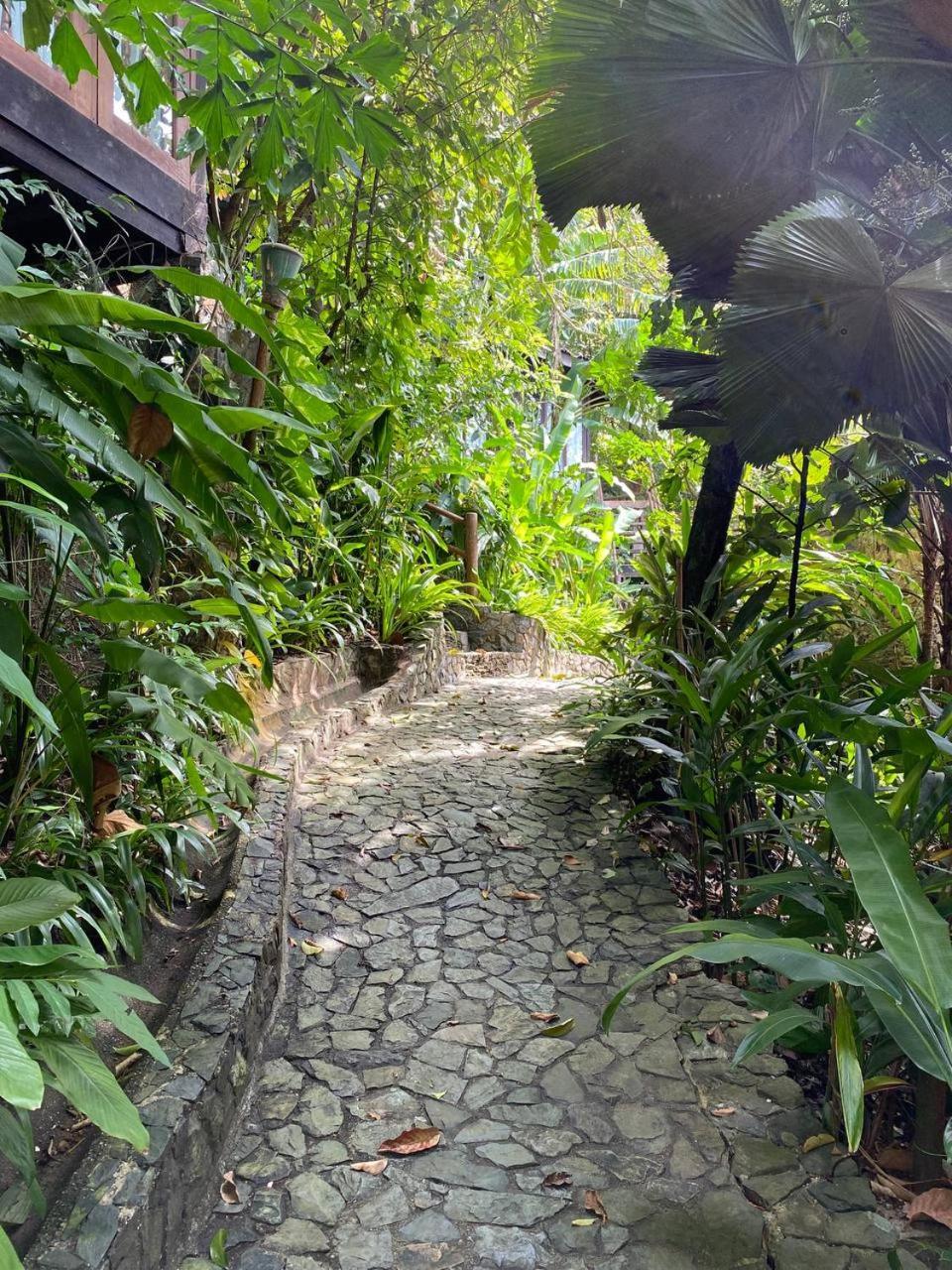 Ambong Rainforest Retreat Pantai Cenang  Exterior photo