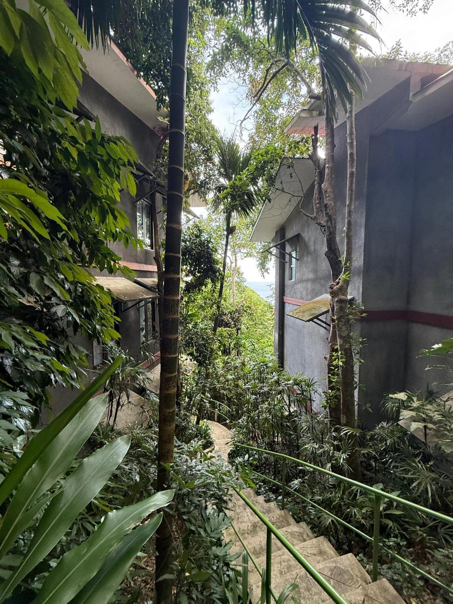 Ambong Rainforest Retreat Pantai Cenang  Exterior photo