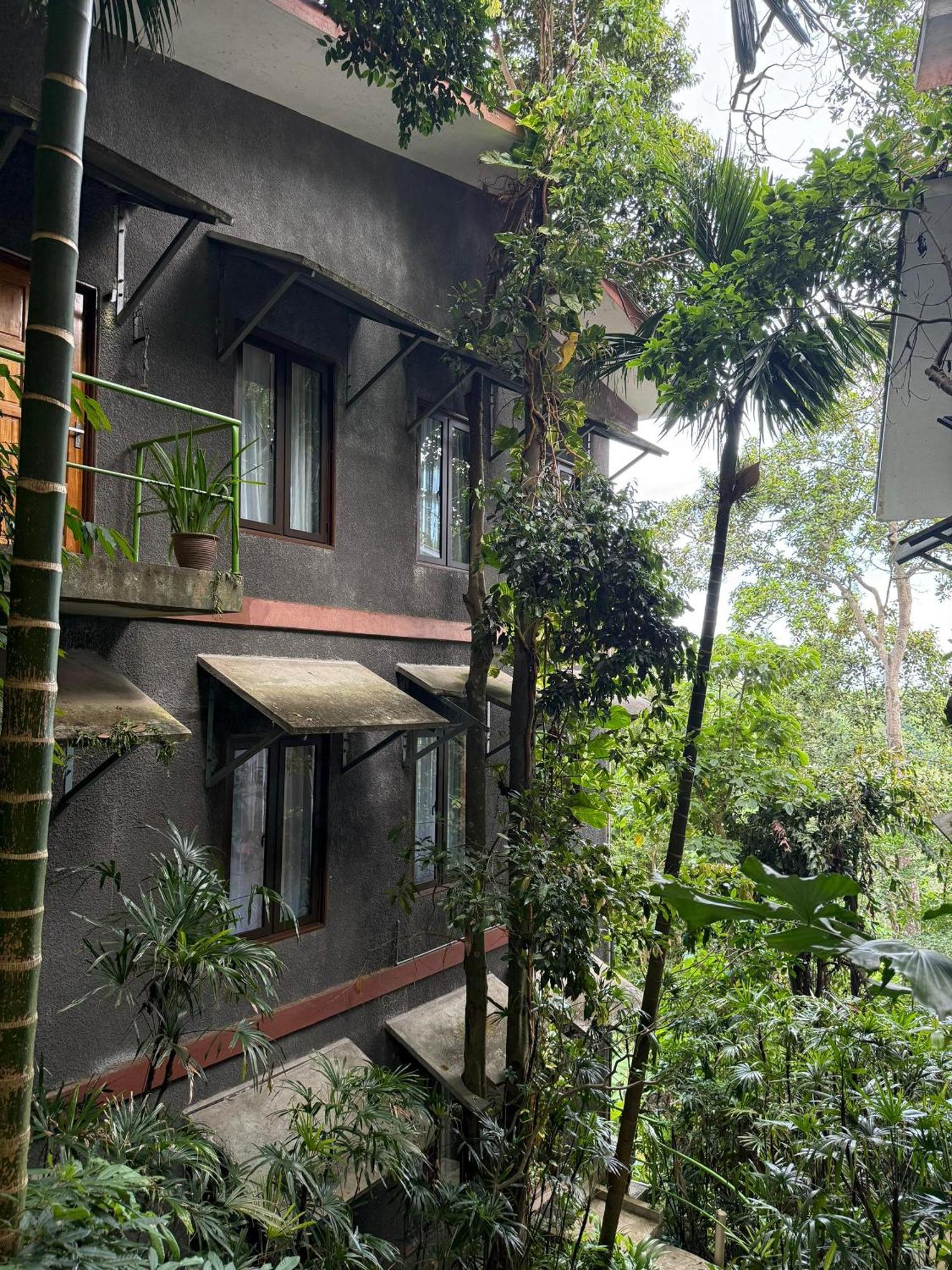 Ambong Rainforest Retreat Pantai Cenang  Exterior photo